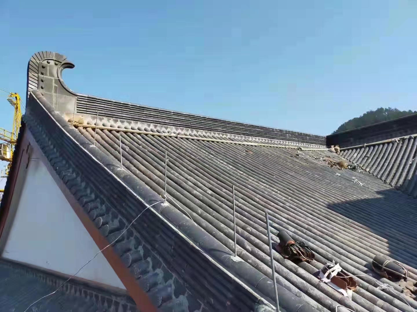 微信图片_20220323103947.jpg